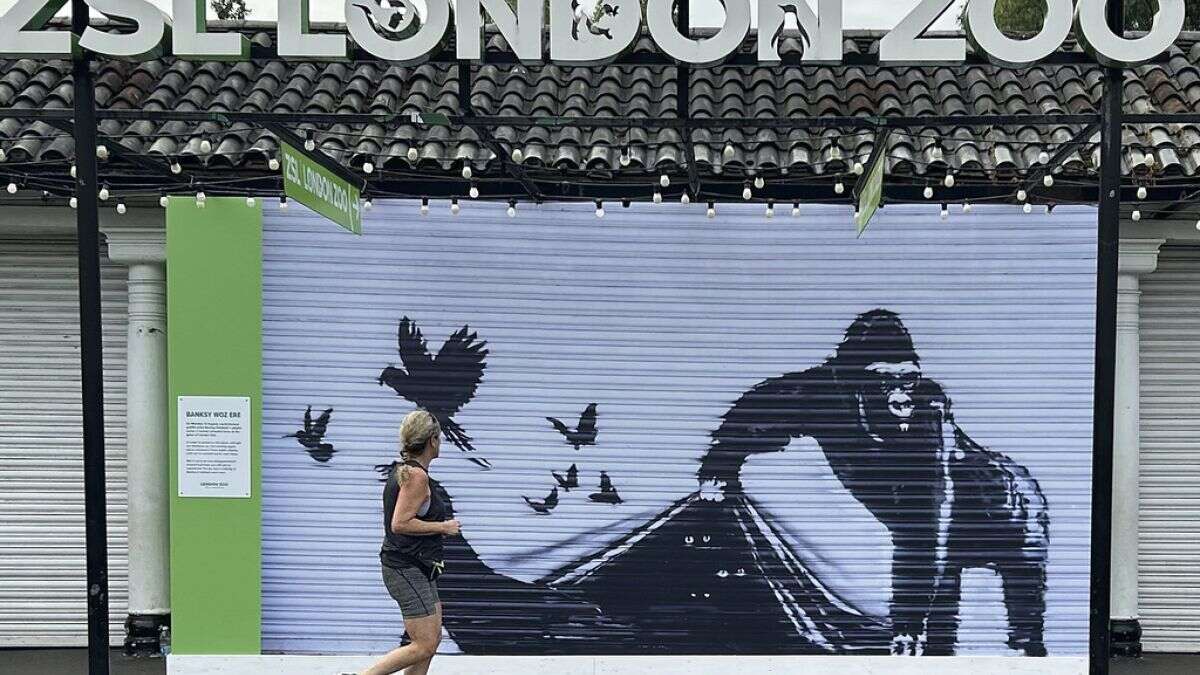 Le zoo de Londres retire la peinture murale de Banksy