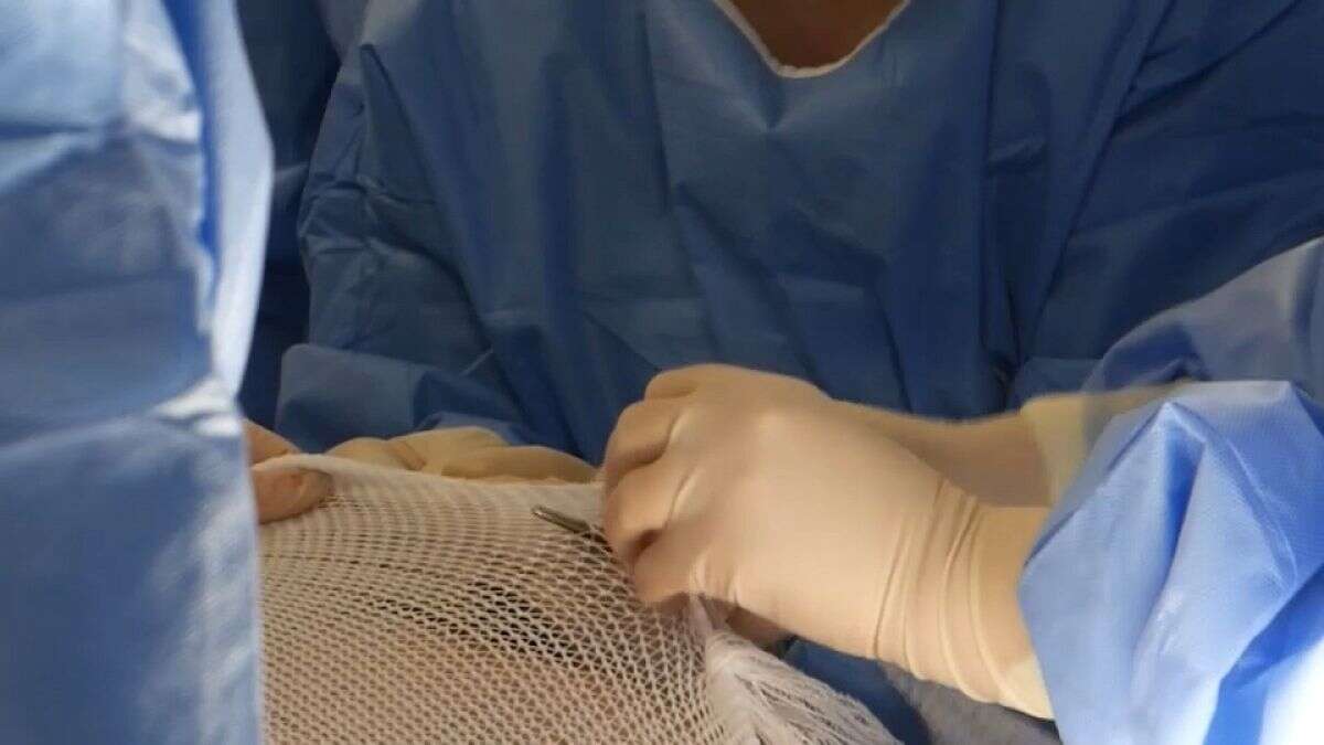 Espagne : à l’hôpital de Séville, les greffes de peau artificielle ont fait leur preuve