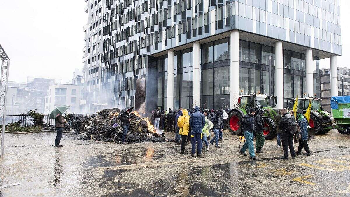 Semana Europea: Un experto en la PAC sugiere aumentar la producción 