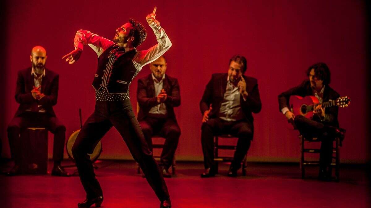 Día internacional del flamenco: Arte con sentimiento