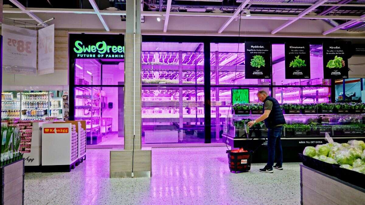 ¿Por qué esta granja cultiva verduras dentro de un supermercado?