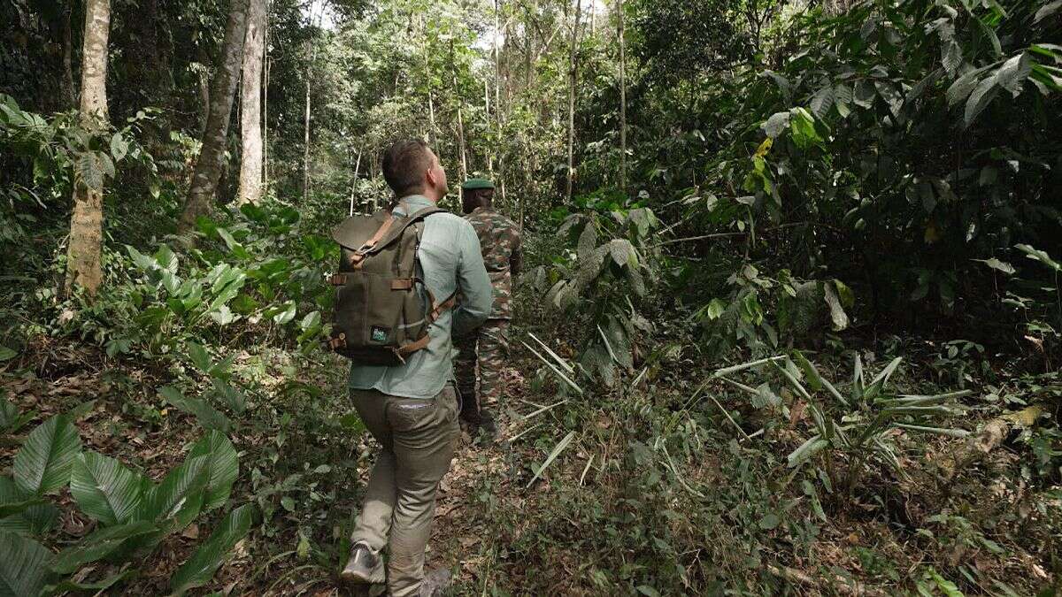 L'UE et la Côte d'Ivoire unissent leurs forces pour un cacao durable