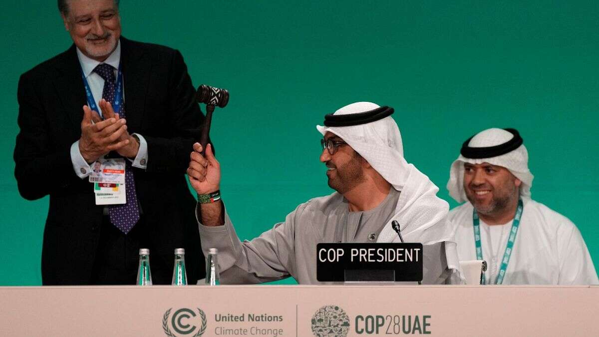 Réchauffement climatique : le pouvoir d'action des COPs mis en cause par des acteurs du climat