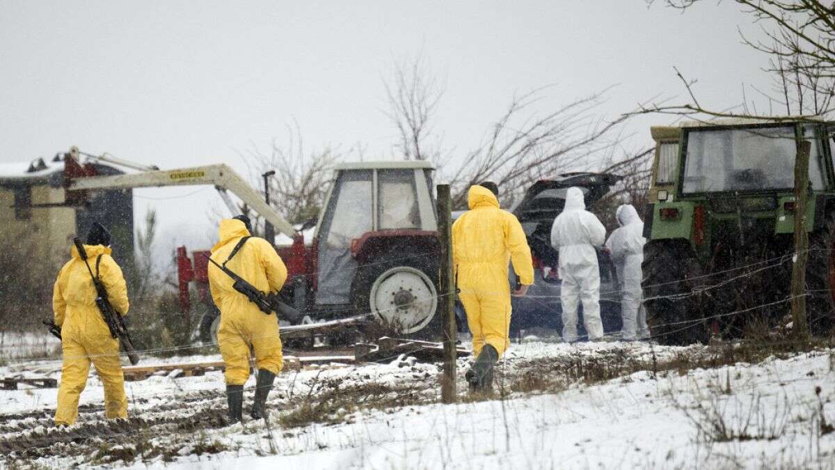 Premier foyer de fièvre aphteuse en Allemagne depuis 35 ans