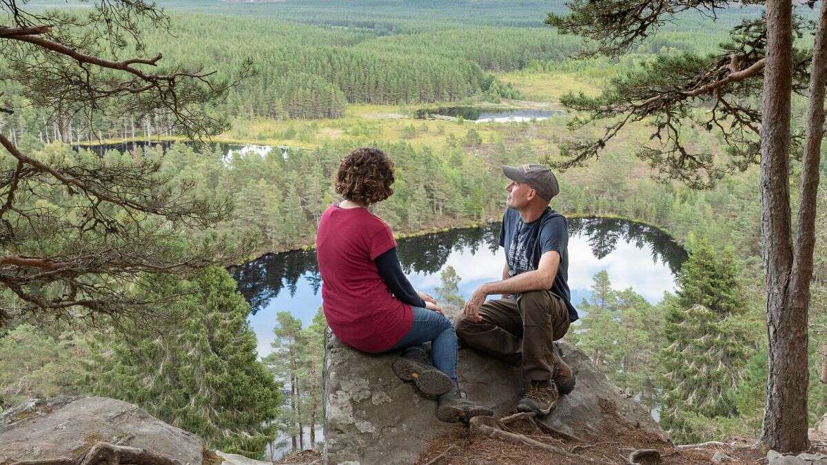 Reino Unido lidera los objetivos europeos de restaurar la naturaleza