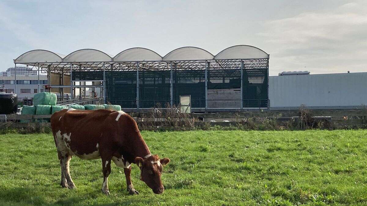 Une ferme flottante pour répondre au défi du changement climatique