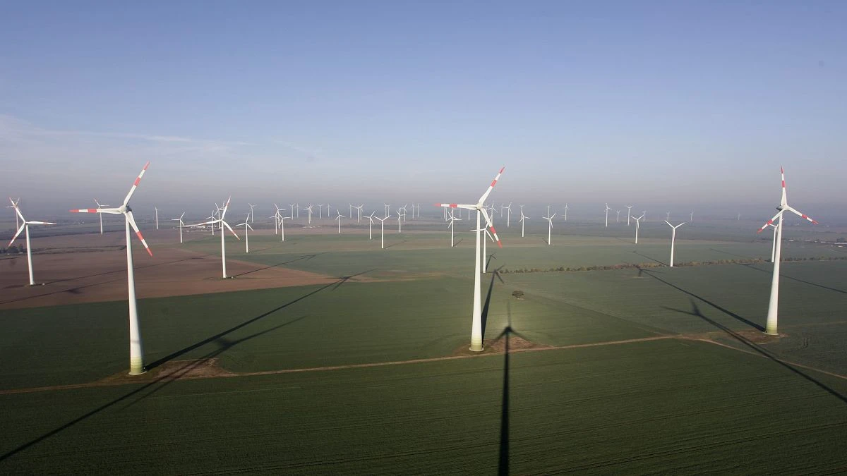 La poussée de l'extrême droite nuit-elle aux énergies renouvelables ?
