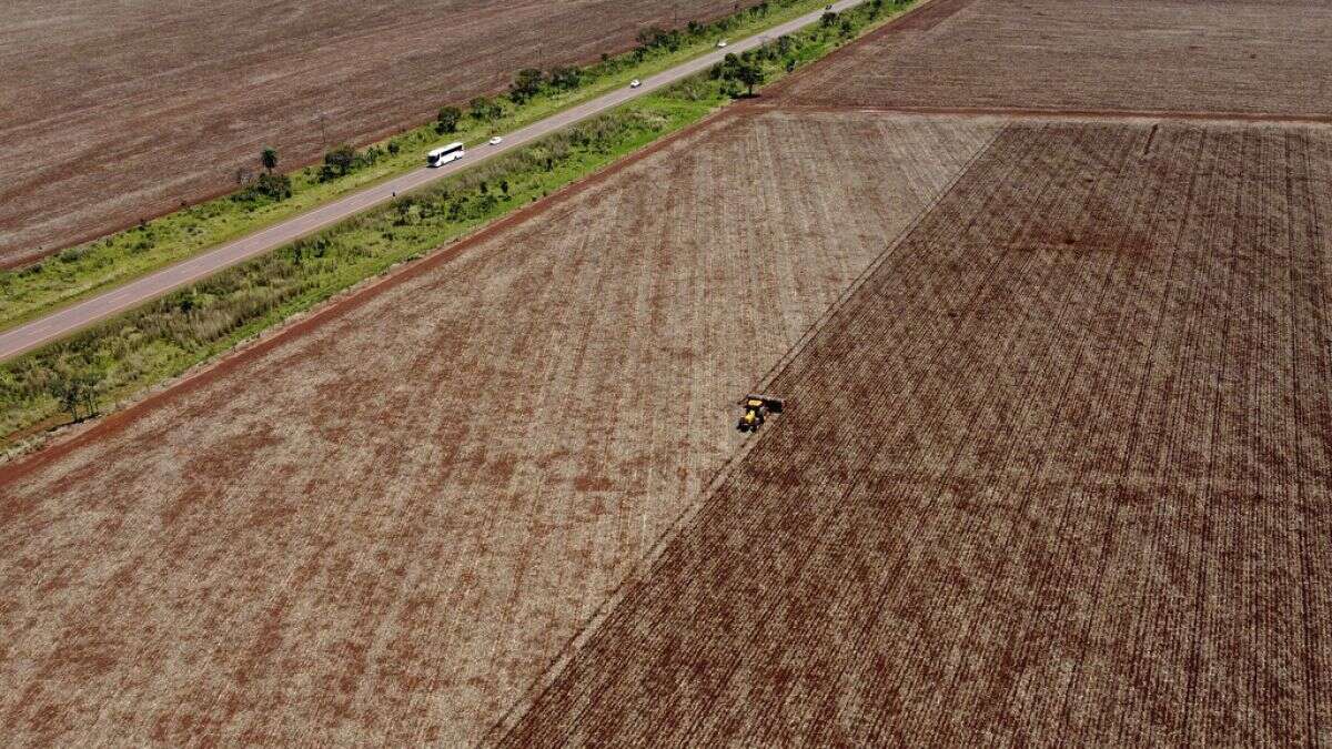 UE-Mercosur : des agriculteurs européens s'insurgent contre un accord imminent