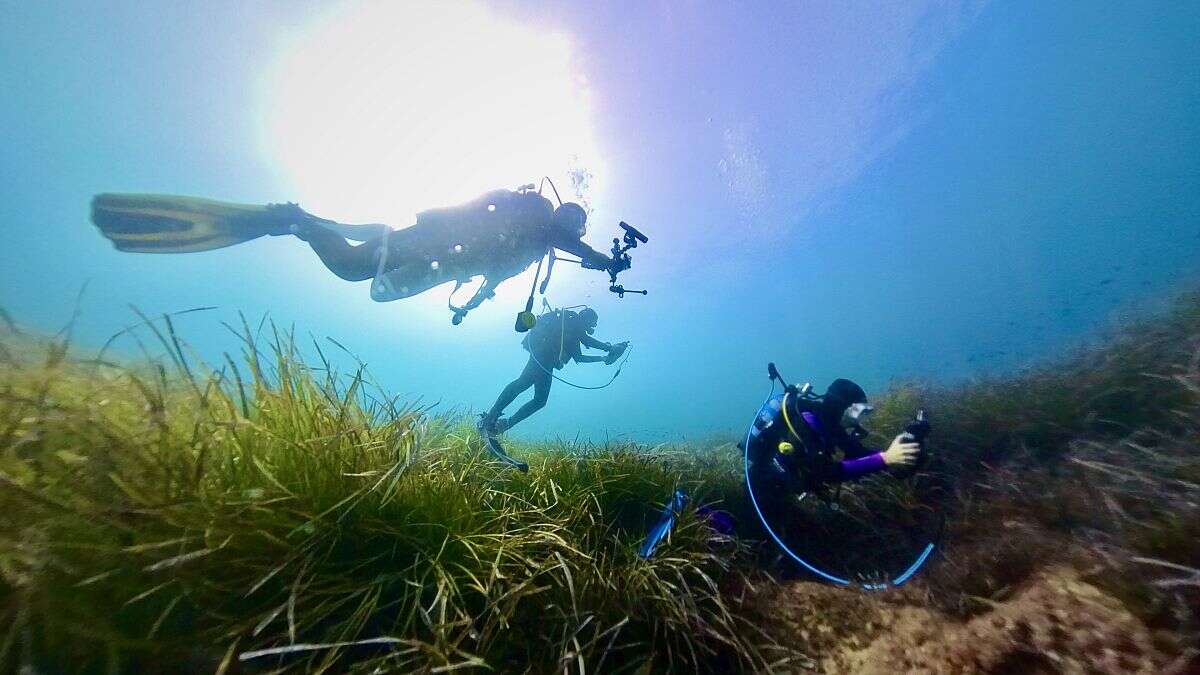 Wi-Fi sous-marin, fermes aquaponiques : Comment les startups européennes séduisent les investisseurs