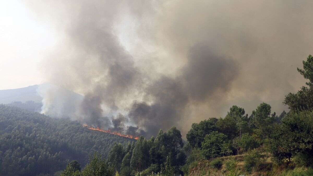 12 ciudades portuguesas salen a la calle a protestar por los incendios