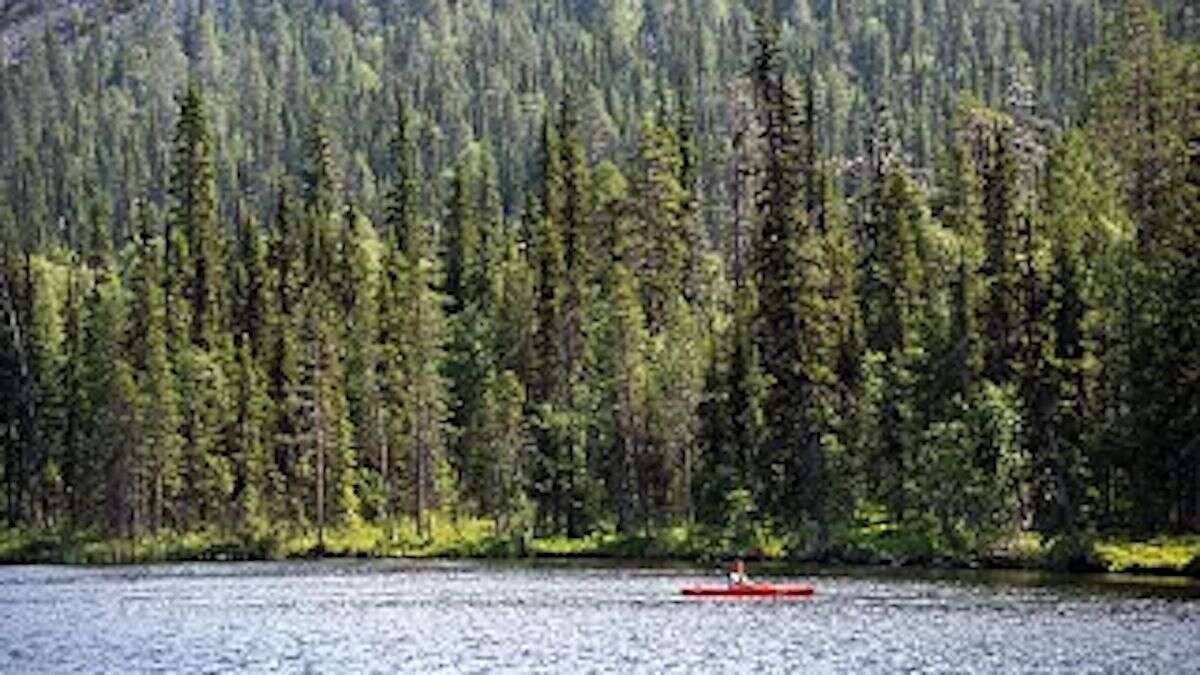 La Laponie finlandaise s'apprête à connaître des records de chaleur