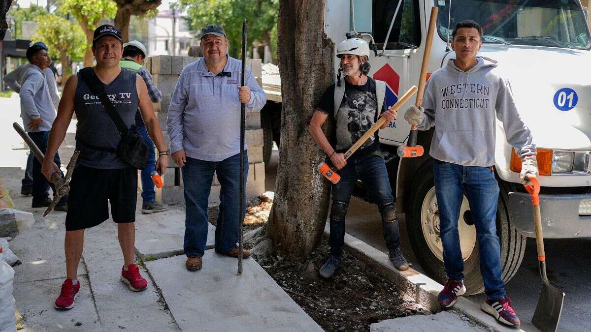 ¿Qué hace el 'Ejército de Árboles' en las calles de Ciudad de México?