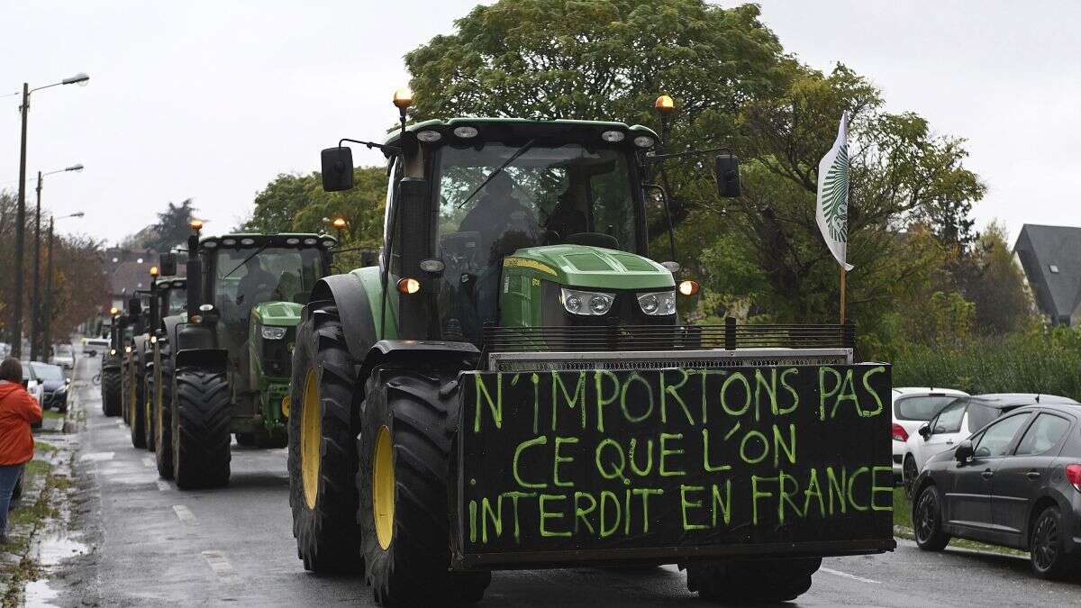 Accord commercial UE-Mercosur : un texte clivant pour les députés européens