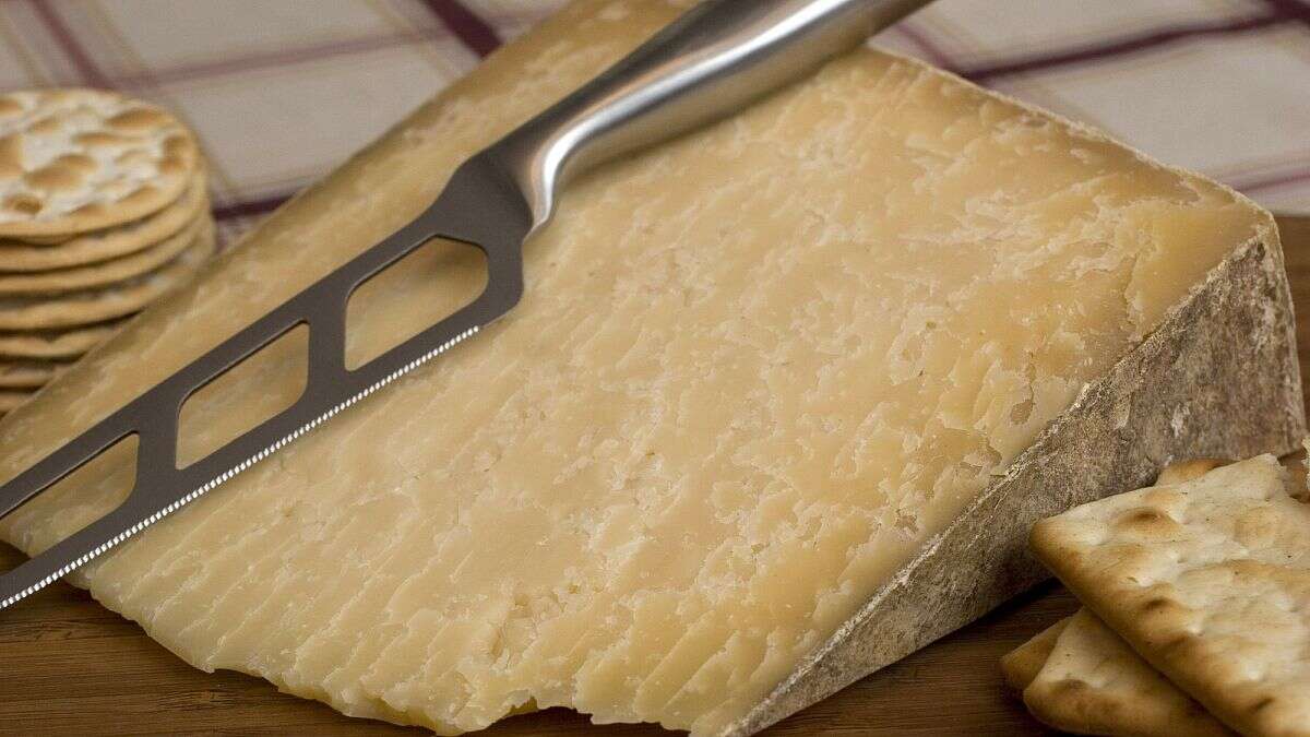 Chacun cherche son cheddar : vol du fromage pour 360 000 euros