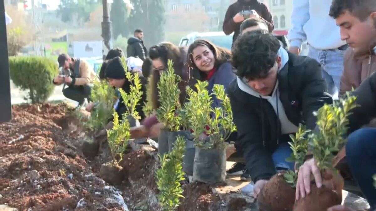 Alepo intenta volver a la normalidad plantando árboles y flores