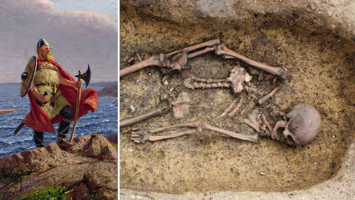 Arqueólogos descubren más de 50 esqueletos vikingos en Dinamarca