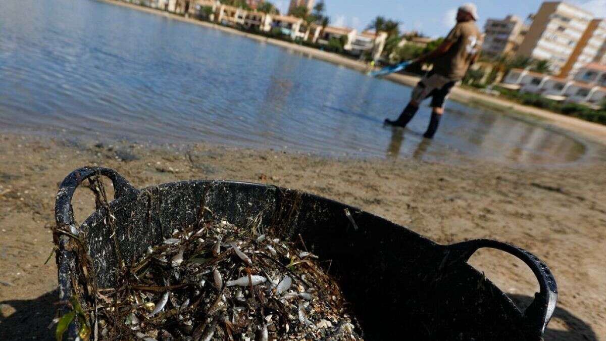 Une activiste espagnole lauréate du prix Goldman pour l'environnement