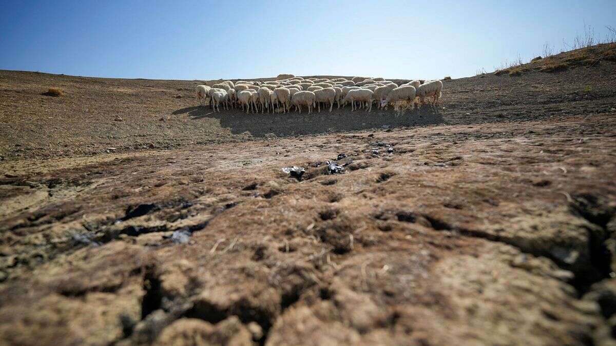 Redéfinir la vie sur terre : les trois quarts des terres émergées devenues plus sèches en 30 ans