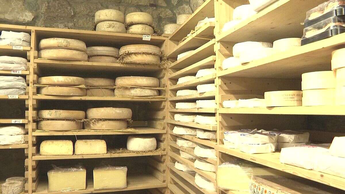 Francia mantiene la pasión por el queso pero cambia hábitos de consumo