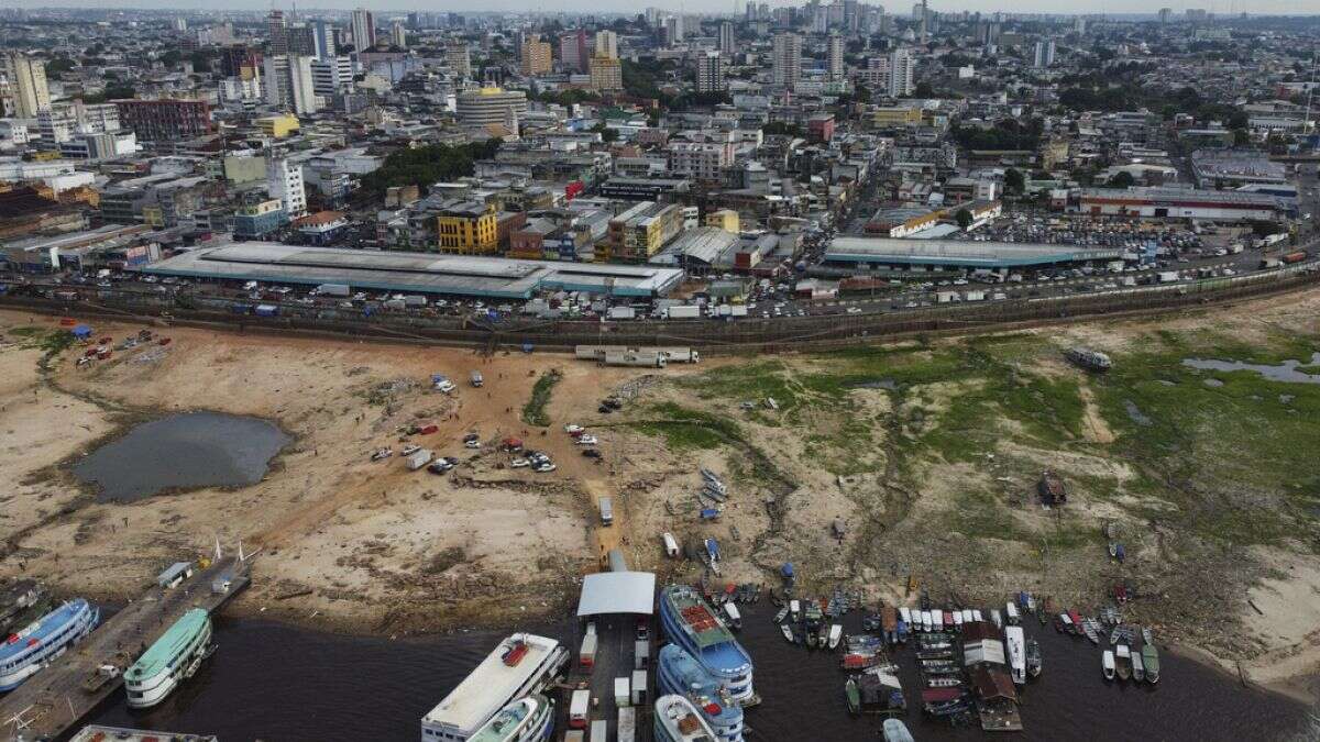 Brésil : sécheresse historique du rio Negro, l'un des principaux affluents de l'Amazone