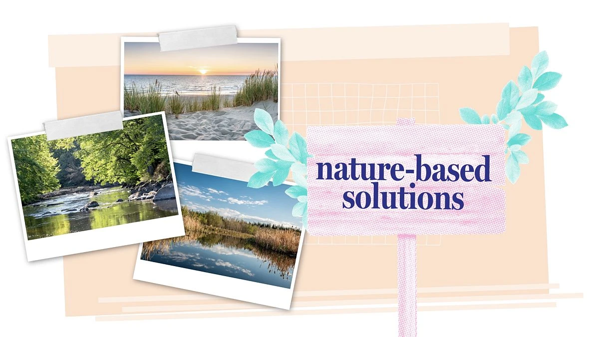 Réchauffement climatique : les solutions naturelles, alliées de l'eau