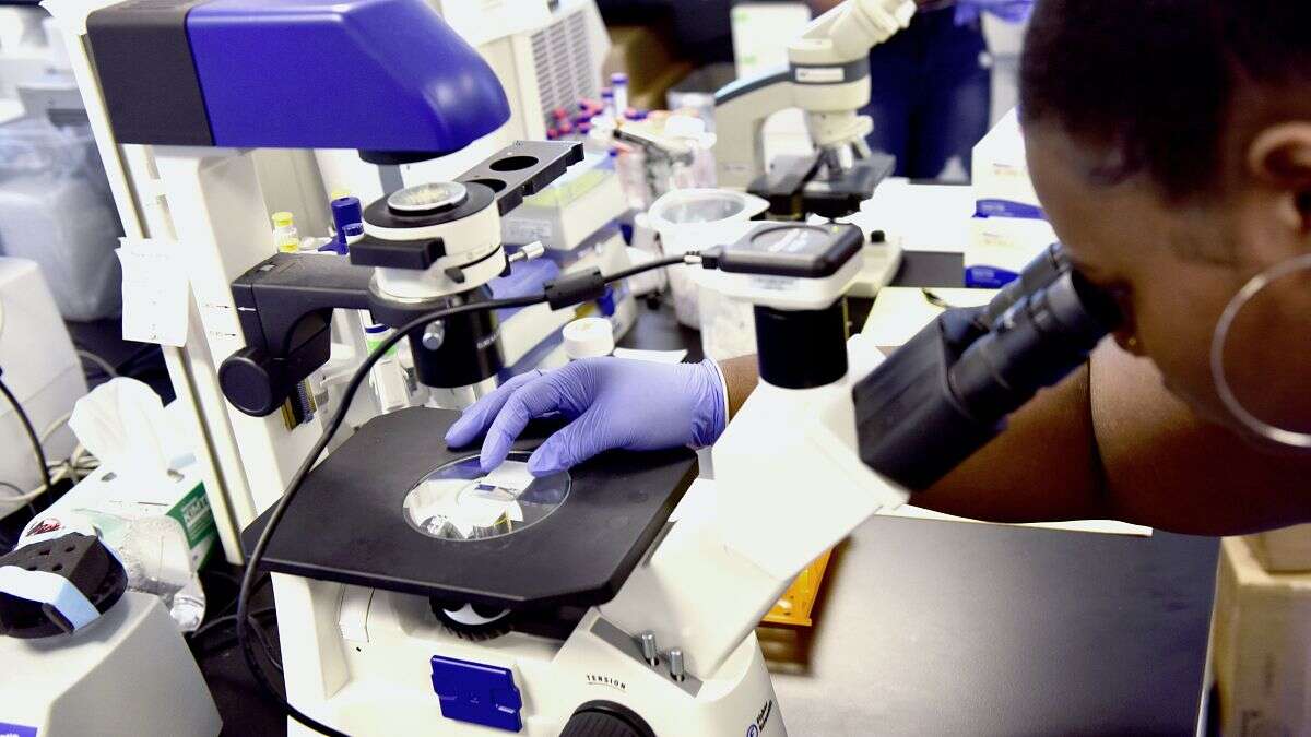 Así ayuda la inteligencia artificial a diagnosticar el cáncer