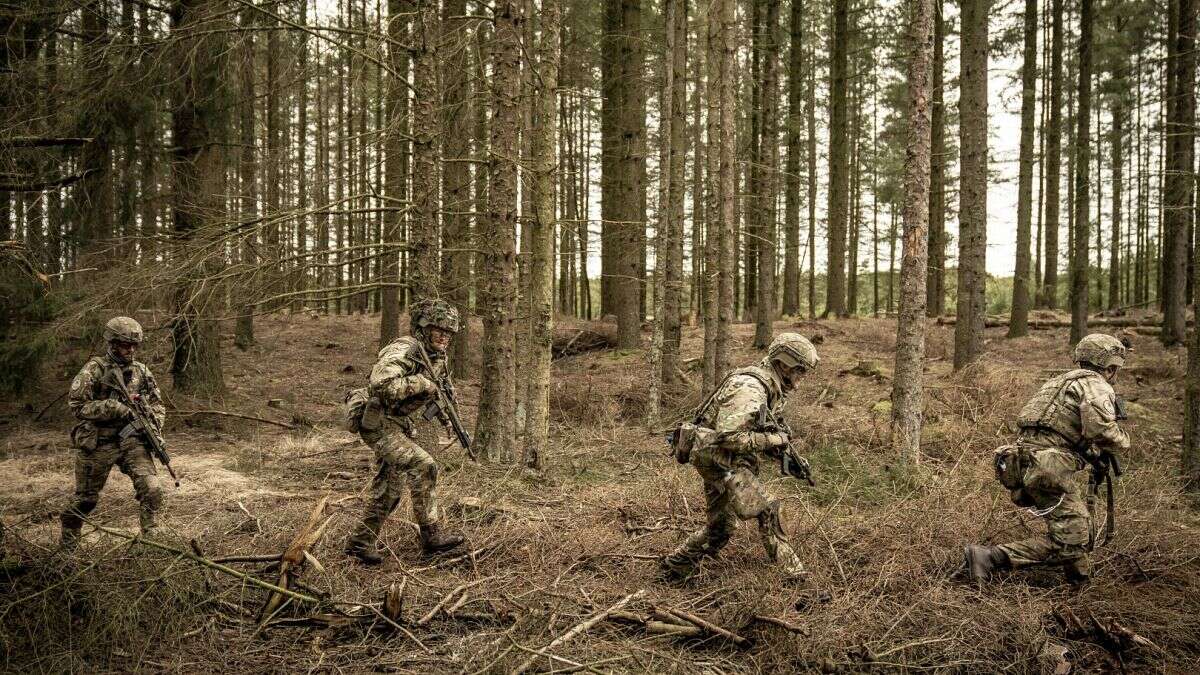 OTAN : plus de 800 soldats danois sont arrivés en Lettonie