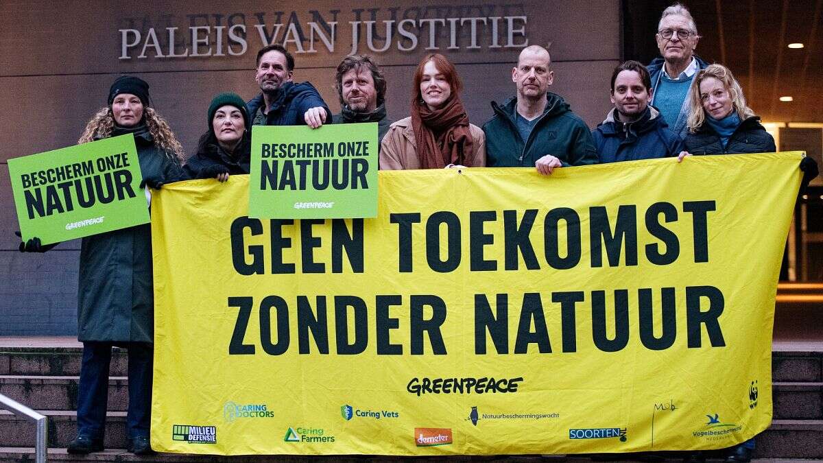 Victoire pour Greenpeace : les Pays-Bas ont jusqu'à 2030 pour réduire leurs émissions d'azote