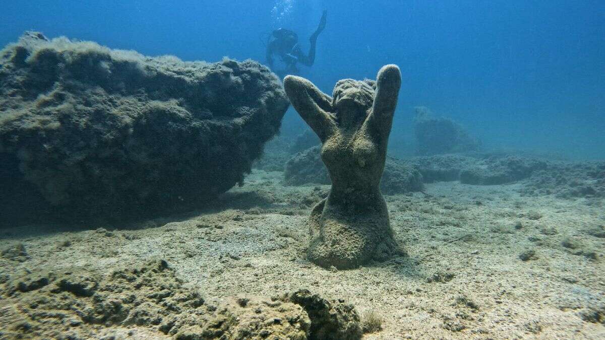 A Chypre, les canicules marines dégradent les écosystèmes marins