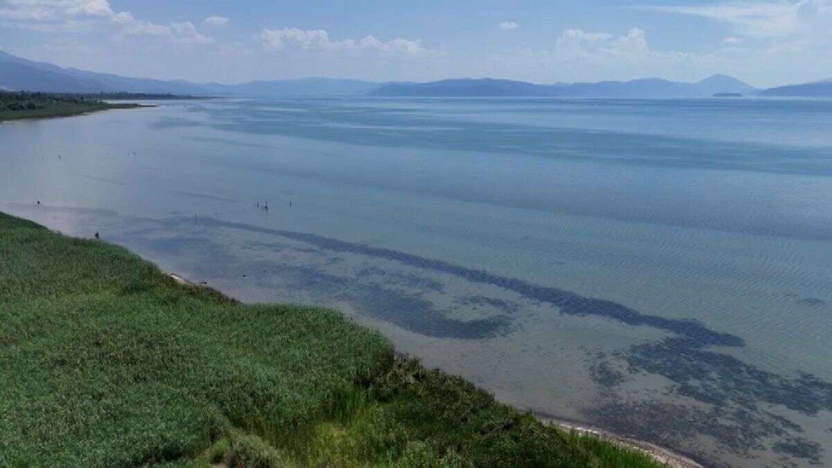 Les pays des Balkans créent un comité pour protéger le lac Prespa, menacé de disparition