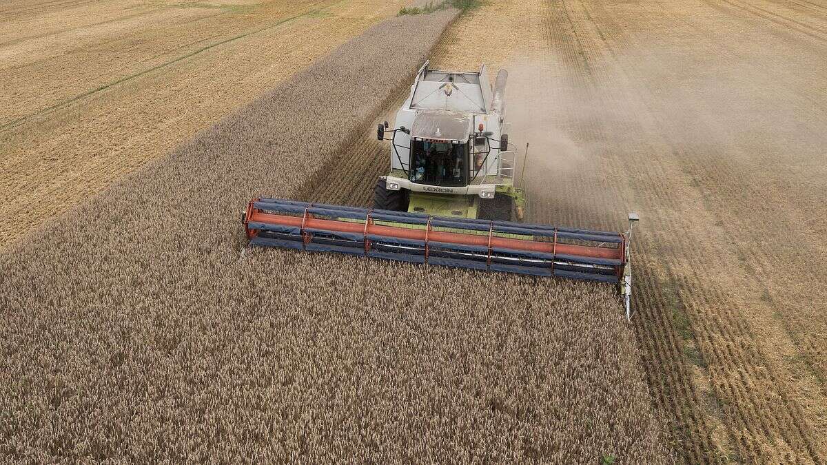 Ukraine : la crise des céréales continue après des destructions massives d'installations portuaires