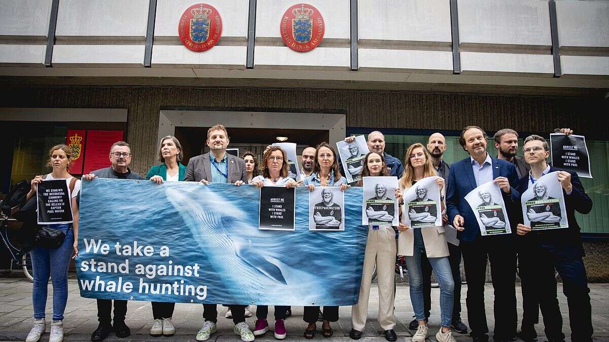 Legisladores europeos exigen la liberación del activista Paul Watson