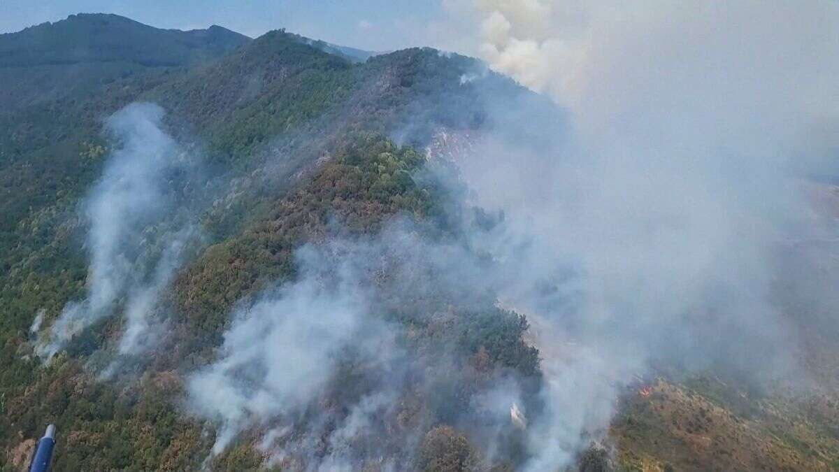 Macédoine du Nord : une trentaine de feux de forêt ravagent le Sud du pays