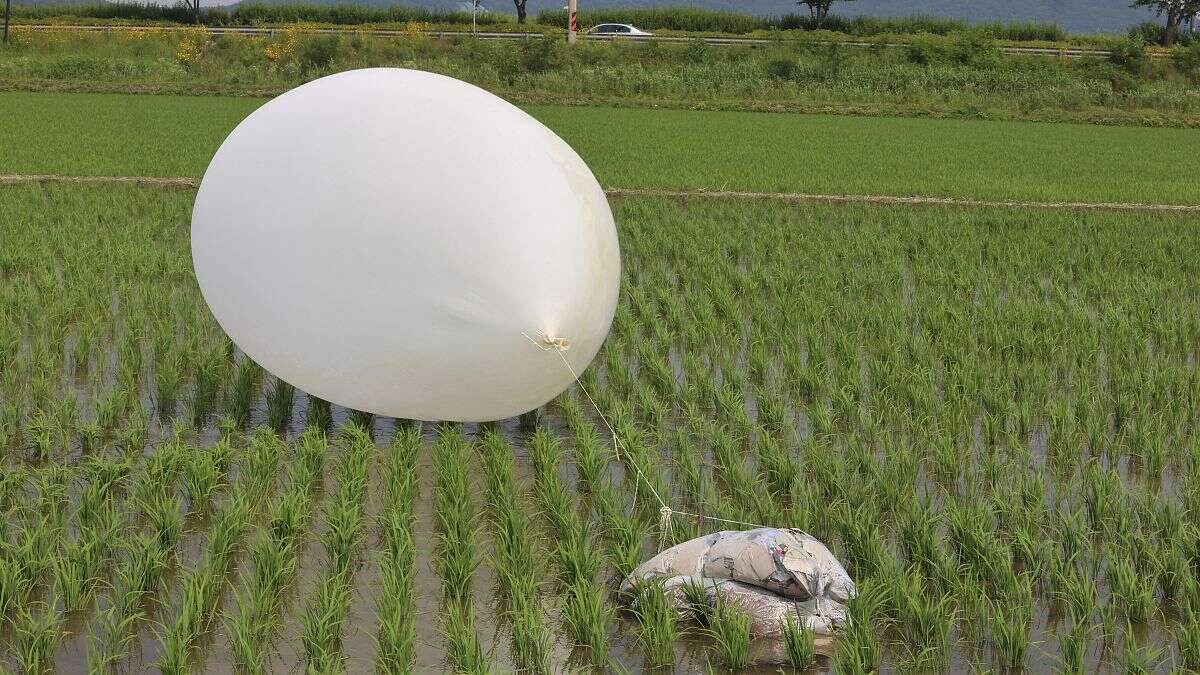 Un globo se estalla sobre el complejo presidencial de Corea del Sur