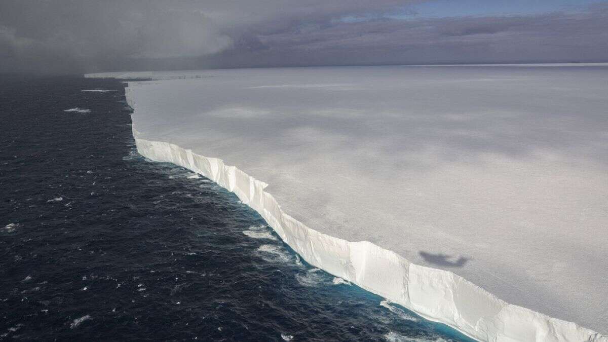 El mayor iceberg se ha desprendido y podría chocar con una isla