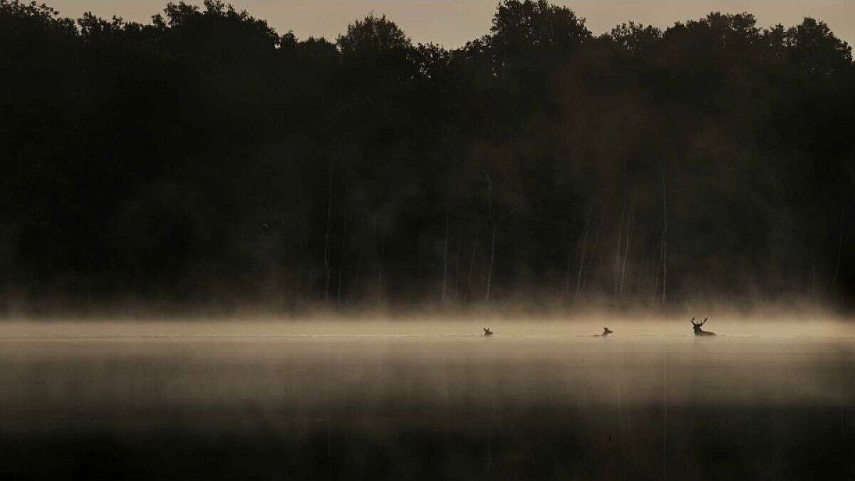 Una exposición fotográfica que pretende transmitir emociones sublimes