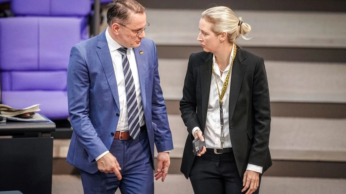 AfD-Verbot: Neues Gutachten könnte massive Folgen haben