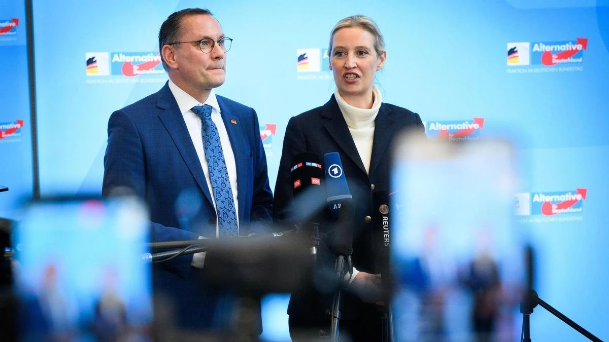 Richtungsstreit um Trump-Zölle: AfD-Parteichefs widersprechen sich