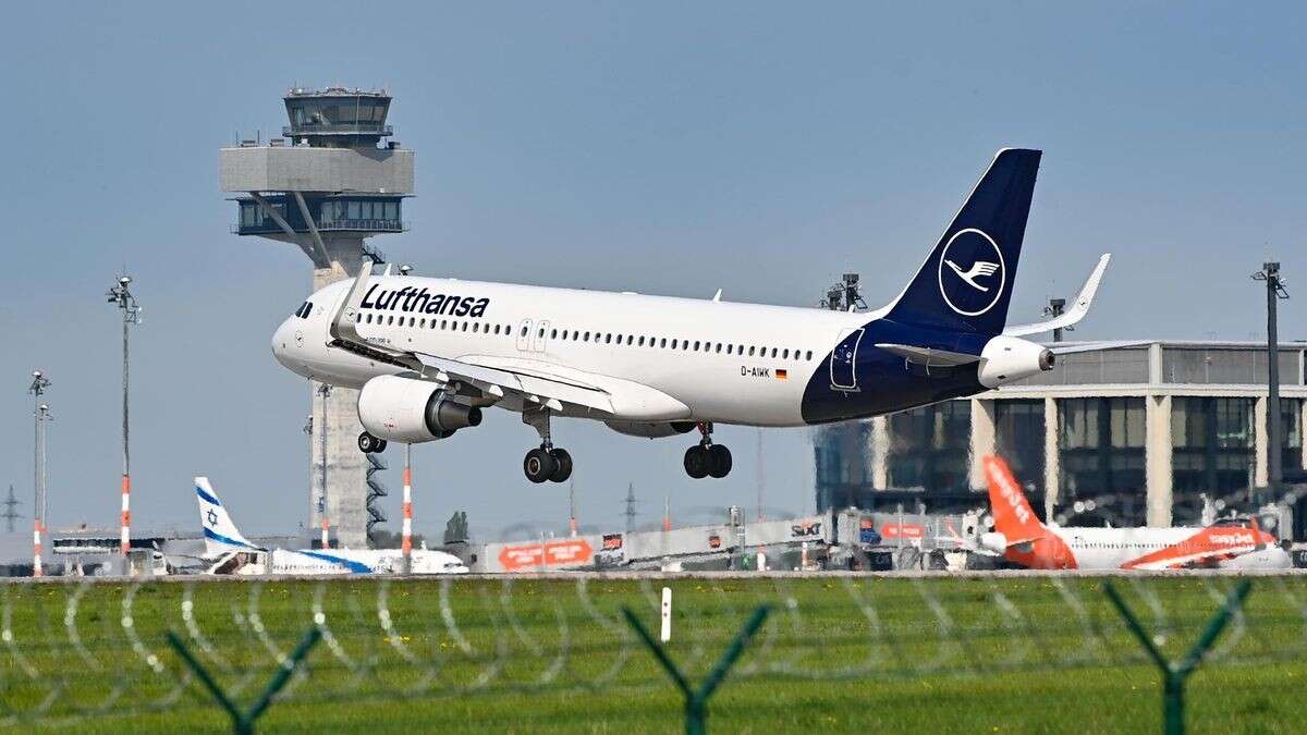 Biber sind Gefahr für Flughafen BER – Abschüsse genehmigt