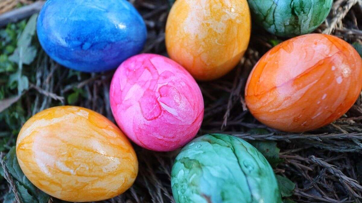 Ministerin warnt ausgerechnet an Ostern vor Eier-Knappheit