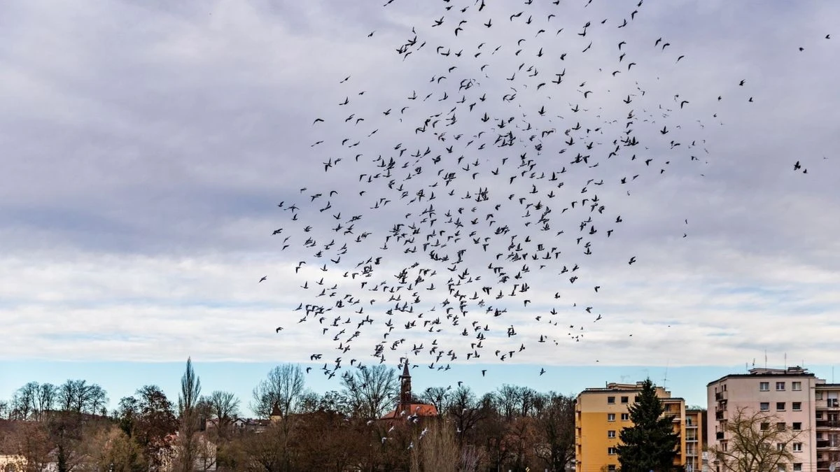 Guben wirbt mit kostenlosem Probewohnen um Zuzügler