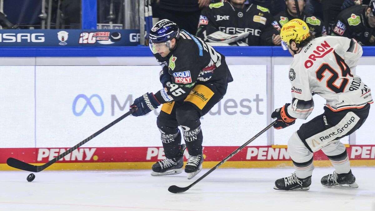 Die Eisbären setzen ihren Lauf fort