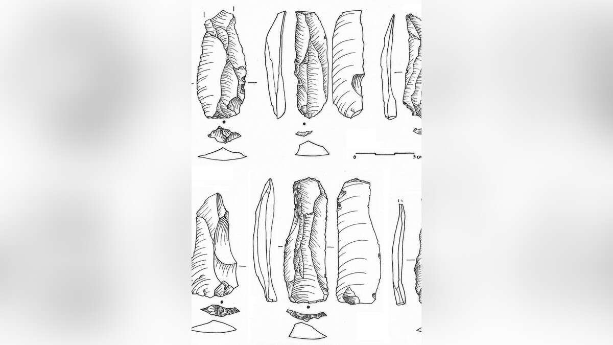 80.000 Jahre alt: Forscher entdecken Steinklingen des Homo sapiens