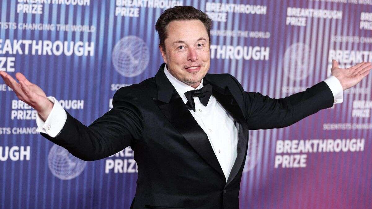 440 Milliarden Dollar: Wie Elon Musk dank Trump immer reicher wird