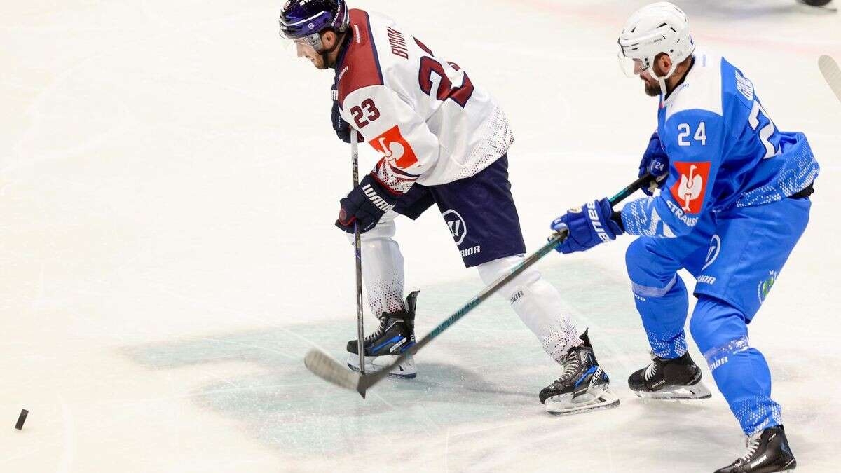 Holocaust-Eklat: Polen-Club entschuldigt sich bei Eisbären