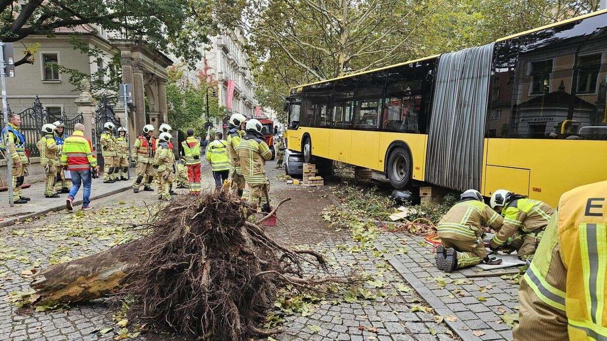 Bus rammt Kleintransporter – 30 Menschen verletzt