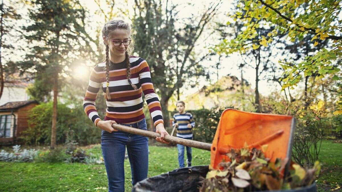 Garten im Herbst: Mit dieser Arbeit zerstören Sie Ihre Pflanzen