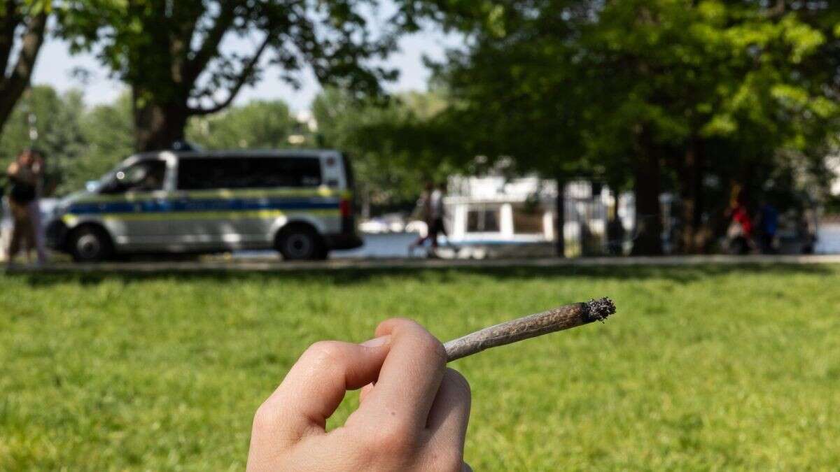 Cannabis-Gesetz mit Amnestie: Bereits 65 Strafen verringert