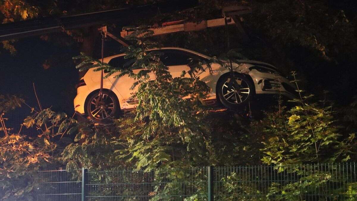 Nach Chaos-Fahrt in Neukölln: Raser landet in Grünanlage