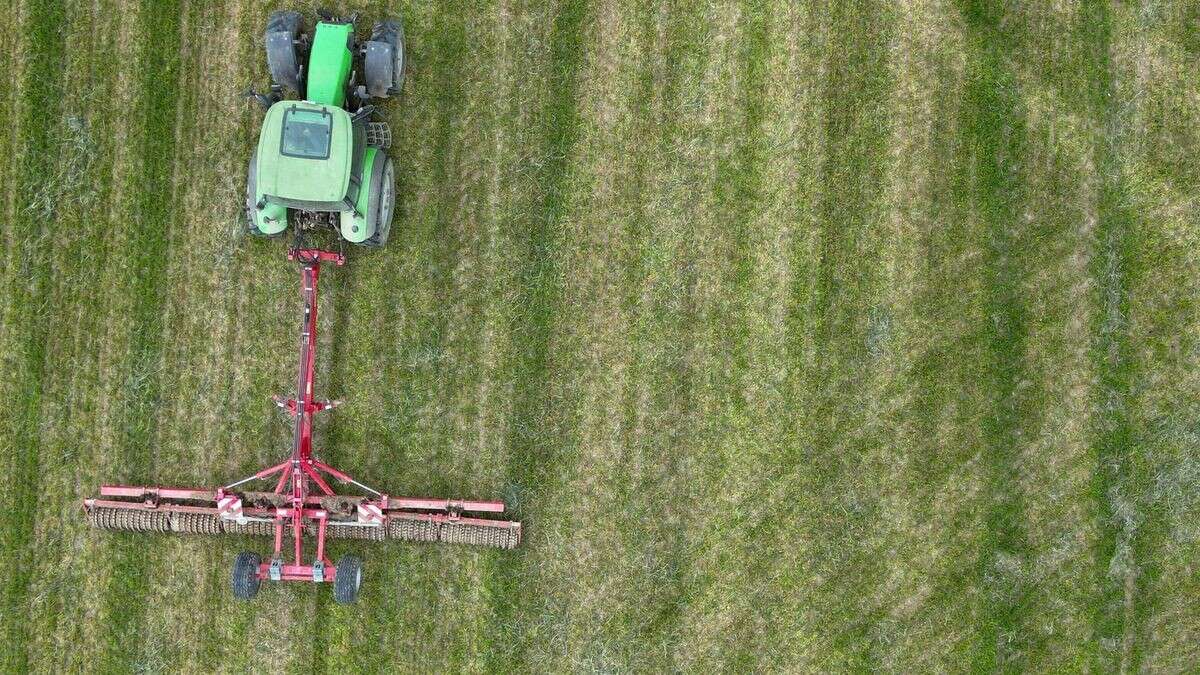 Zurück zu den Wurzeln: Gemeinsam ackern für eine bessere Zukunft